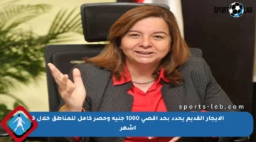 الإيجار القديم يحدد بحد أقصى 1000 جنيه وحصر كامل للمناطق خلال 3 أشهر